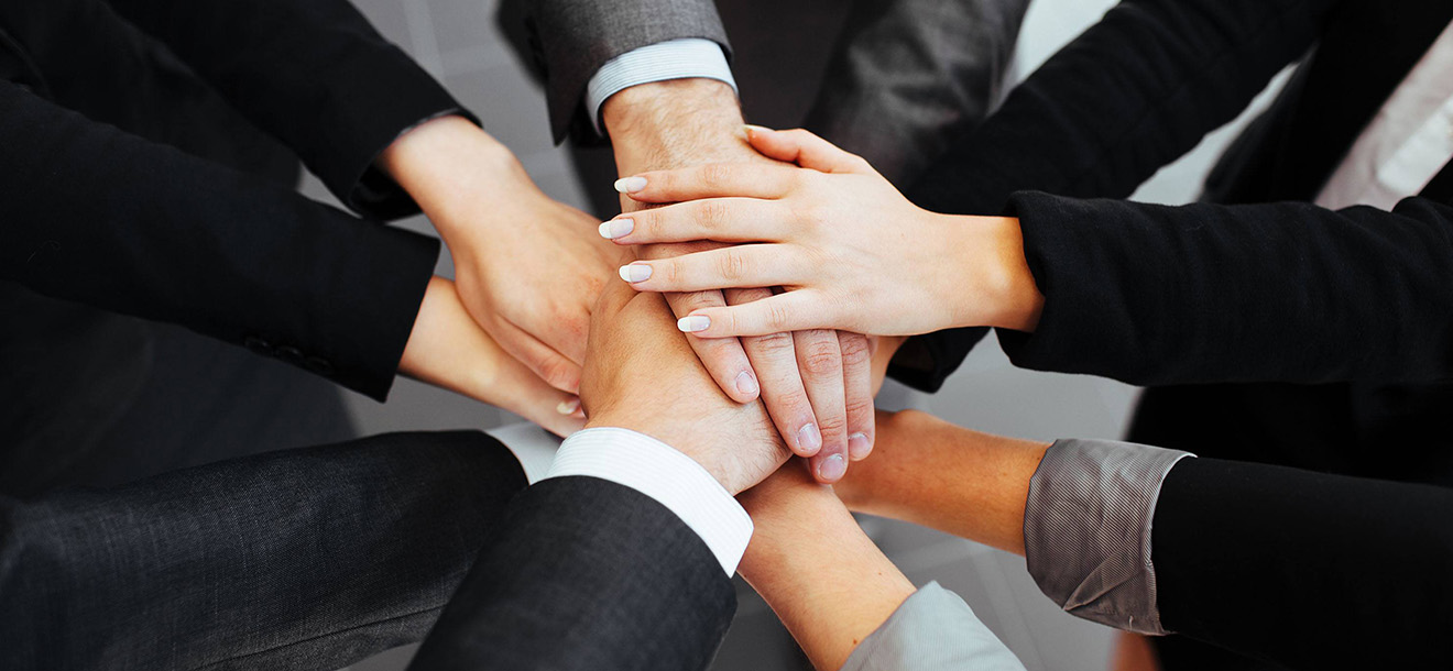 专业的设计团队 专业的设计团队